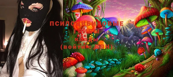 дурь Зеленокумск