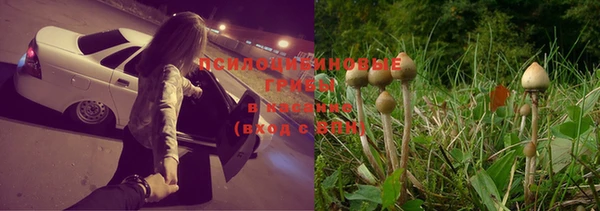 гашиш Абаза