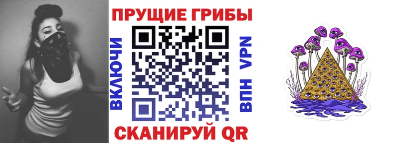 блэк спрут ссылка  Чекалин  Псилоцибиновые грибы ЛСД 
